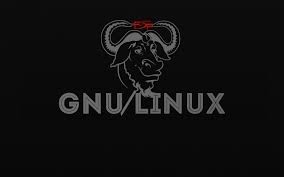 FSF reavalia relação com projeto GNU