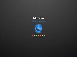 Escuelas Linux 6.9 lançado com Zoom e desktop Moksha