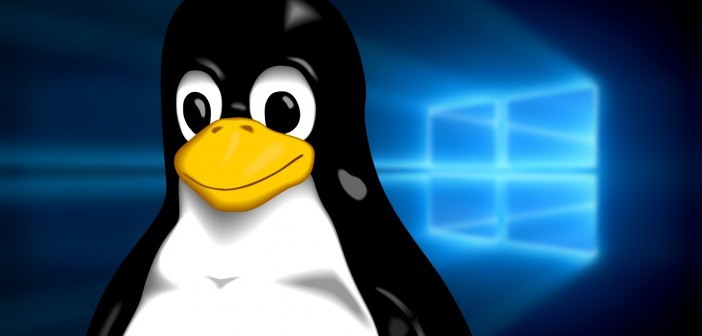 Quais as diferenças básica entre o Linux e Windows? Confira!