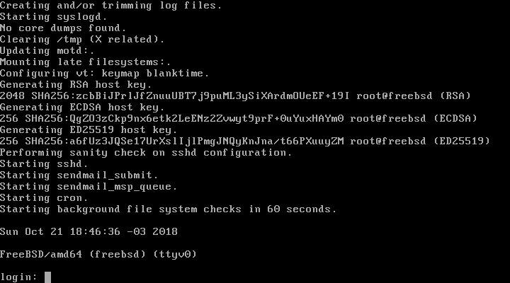 FreeBSD - autenticação no sistema