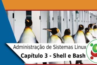 #3 – Administração de Sistemas Linux – Shell e Bash