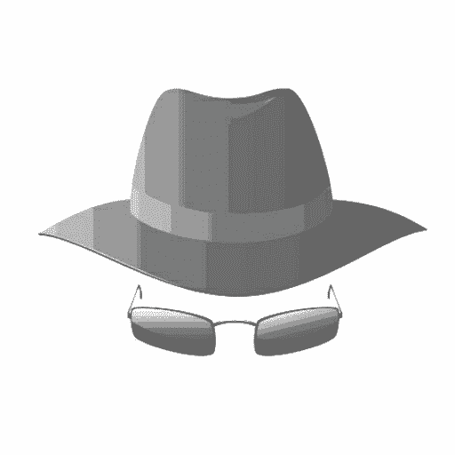 Gray Hat