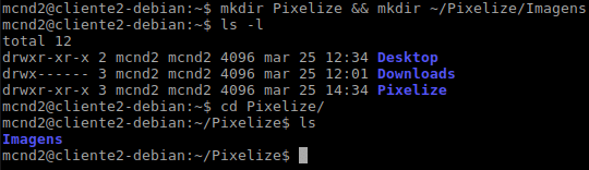 Comando mkdir para criar os diretórios Pixelize e Imagens
