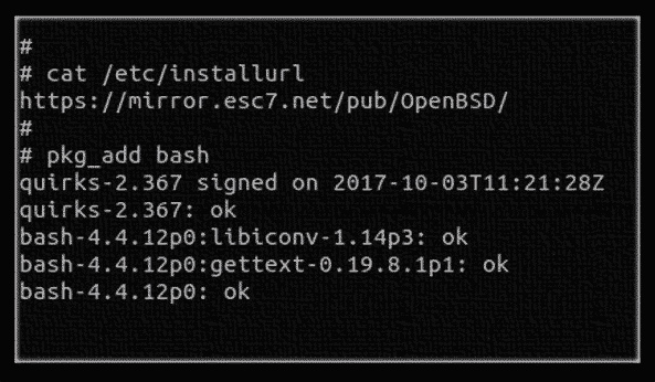 OpenBSD instale ou adicione pacotes de software binário usando pkg_add