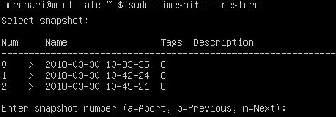 timeshift_terminal_3.1