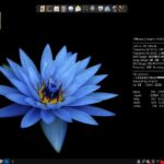 4M Linux desktop