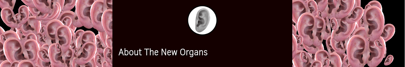 Projeto New Organs