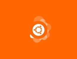 Conheça o Minimal Ubuntu para nuvens públicas e Docker Hub