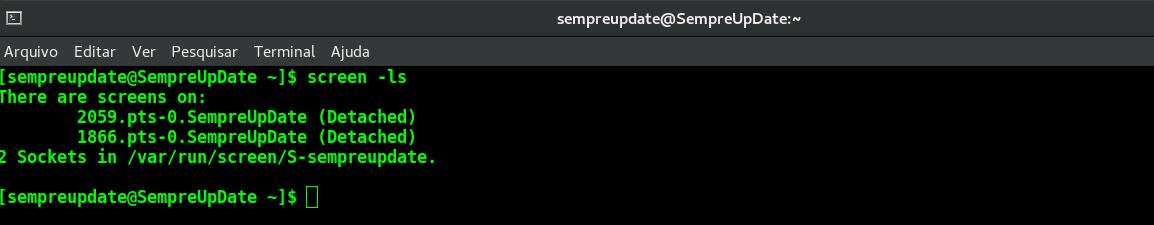 Sem SSH Como ter múltiplas telas com o comando screen no Linux