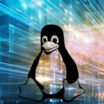 Linux 5.4-rc2 é lançado como "Nesting Opossum"