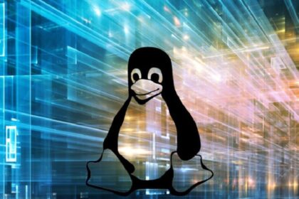 Linux 5.4-rc2 é lançado como "Nesting Opossum"