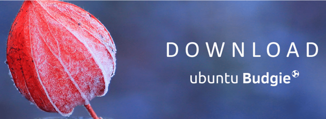 Lançado Ubuntu 18.10 "Cosmic Cuttlefish"