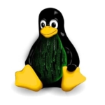 Linux 5.10 será capaz de hibernar e reiniciar muito mais rápido