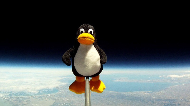 Como surgiu o Tux, mascote do Linux