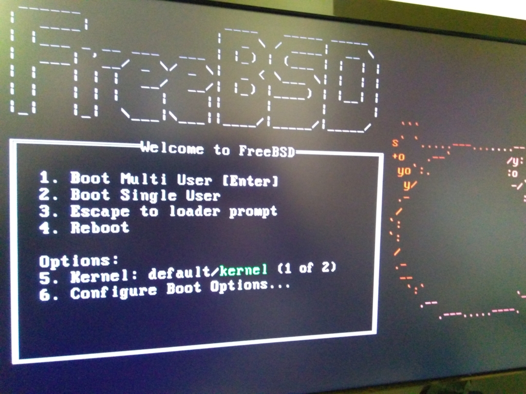Modo Single User no FreeBSD - Boot Single User.