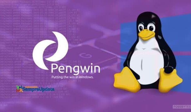 Lançado Pengwin 20.4.1