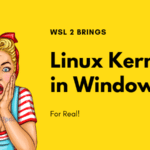 windows-10-em-breve-tera-um-kernel-linux-real