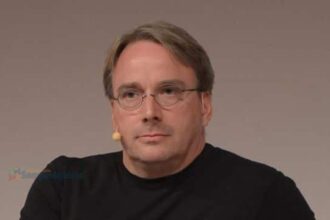 Linus Torvalds critica colaborador do kernel do Google