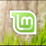 Linux Mint 20 revela alterações no tema Mint-Y e novos recursos