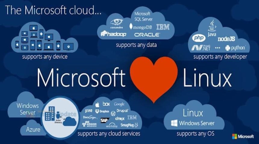 Microsoft sobre “Linux é um câncer”: somos uma empresa de código aberto