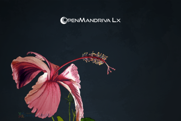 Q4OS, OpenMandriva, Feren OS, Clonezilla, Tails e AntiX apresentam novidades