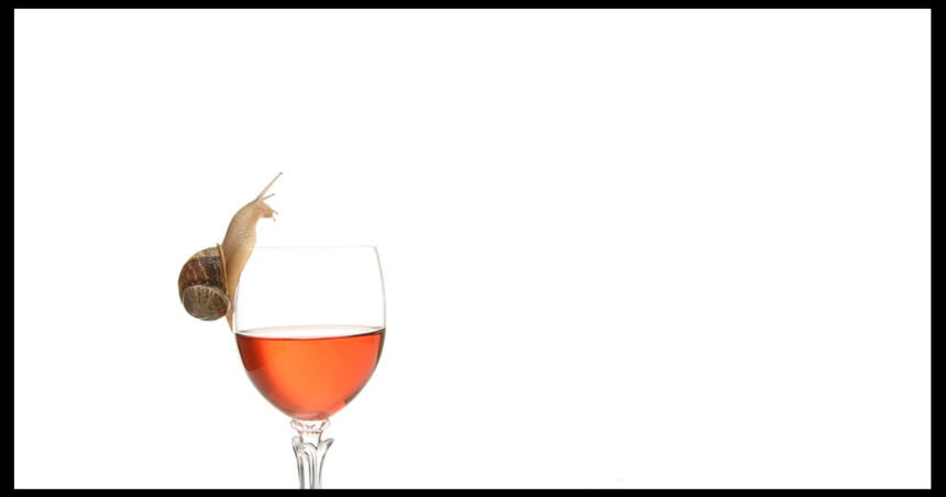 Wine e Wine-Staging 6.5 lançados