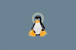 4 razões pelas quais é seguro usar o Linux