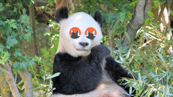 Conheça a Panda, uma equipe ilícita de mineração de criptomoedas que aterroriza organizações em todo o mundo
