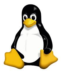 Linux auxilia as pessoas com cromossomo 21