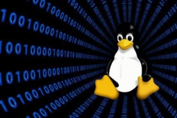 4 sinais que te entregam como sendo um usuário Linux