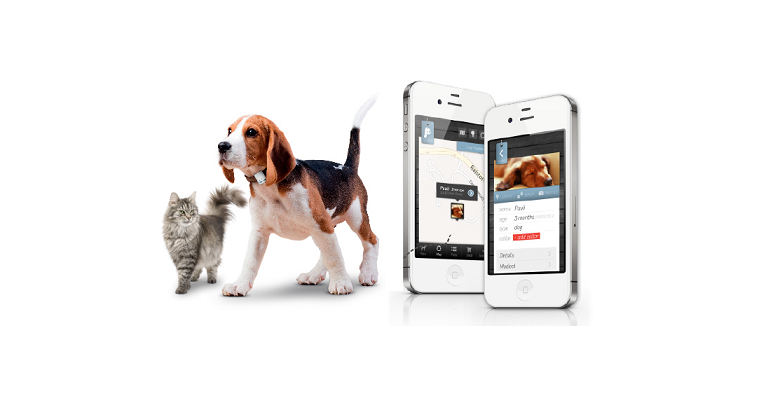 Dispositivos de IoT para animais de estimação? Claro que sim!
