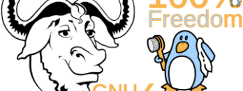 GNU Linux-Libre 5.10 também é lançado para quem quer um software 100% livre