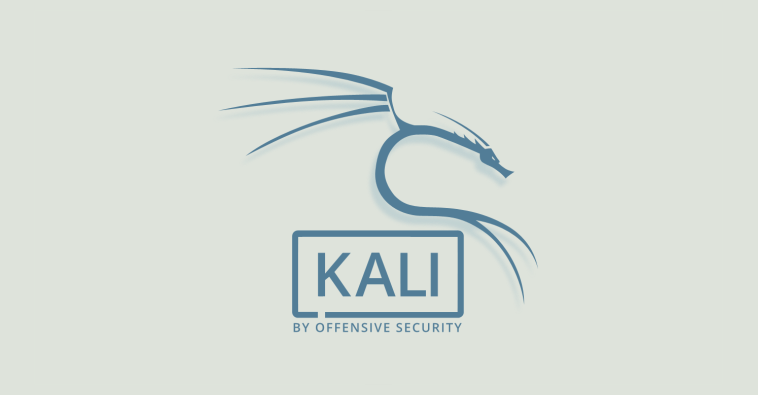 Kali Linux 2020.1a corrige erro do instalador