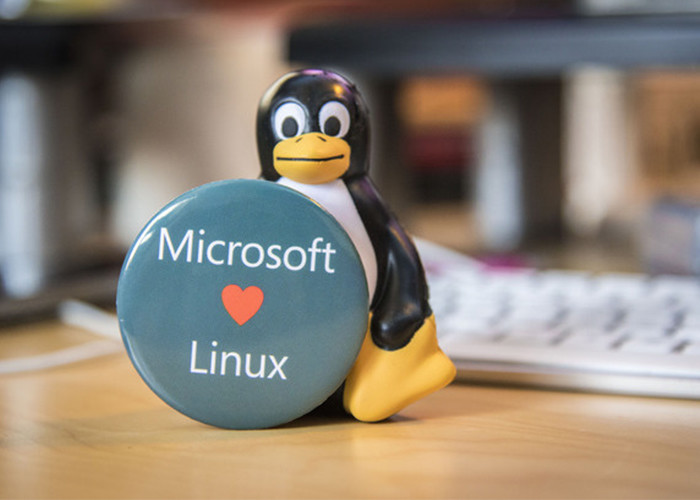Grandes empresas querem acabar com o Linux e open source?
