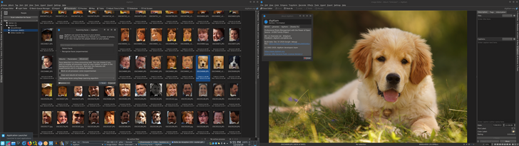 DigiKam 7.0 traz gerenciamento de rostos com deep learning