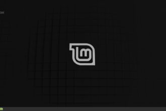 Linux Mint 19.3 "Tricia" Beta disponível para download com um novo visual