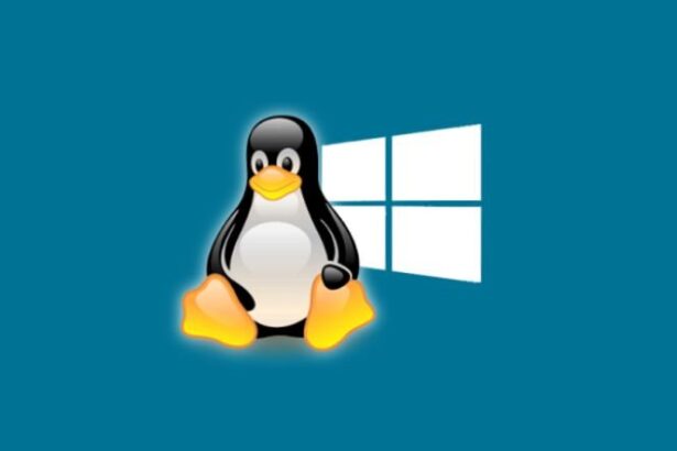 Windows baseado em Linux é ilusão, diz engenheiro da Canonical