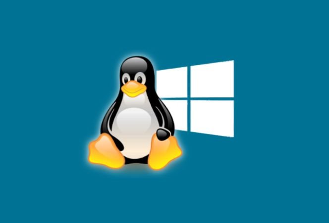 Enquanto o Windows perde espaço, o Linux continua crescendo
