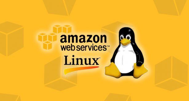Distribuição Linux Bottlerocket da Amazon está disponível
