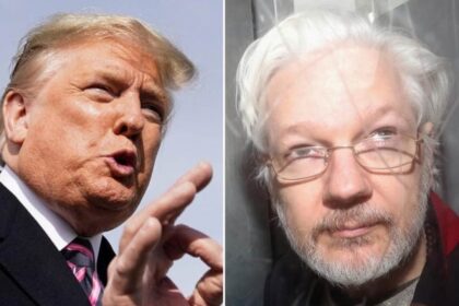 Edward Snowden pede a Trump que perdoe Julian Assange, o fundador do Wikileaks