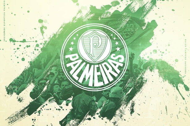 Empresa expõe detalhes pessoais de milhares de fãs do Palmeiras