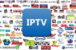 Cinco aplicativos para acessar canais IPTV