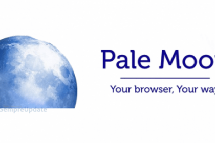 Lançado navegador Pale Moon 28.12.0