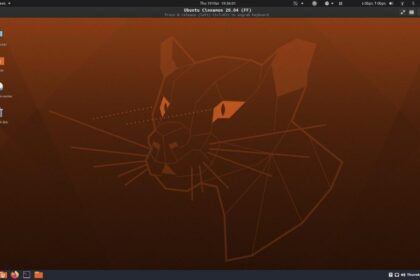 Distribuição Ubuntu Cinnamon Remix 20.04 está quase pronta