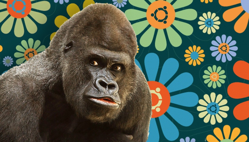 Ubuntu 20.10 recebe o codinome de 'Groovy Gorilla'