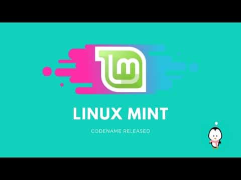 Como reativar o suporte para Snaps no Linux Mint 20