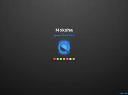 Escuelas Linux 6.9 lançado com Zoom e desktop Moksha
