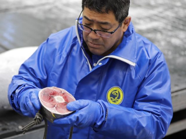 Restaurantes de sushi no Japão estão usando inteligência artificial para avaliar cortes de atum