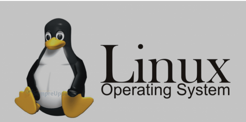 Linus Torvalds fala sobre inclusão do Rust no Kernel