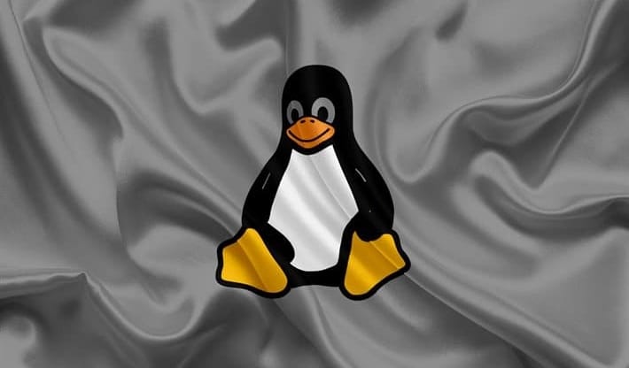 Veja como descobrir qual versão do Linux você está executando